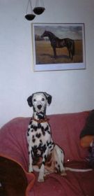 Nochmal Linda.....