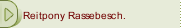 Reitpony Rassebesch.
