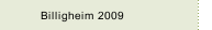 Billigheim 2009
