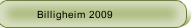 Billigheim 2009
